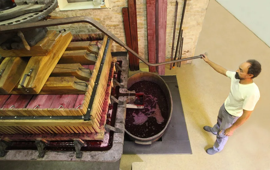 Vue de haut : un vigneron actionne le levier du pressoir vertical, au-dessus d'une cuve de jus rouge, dans le chai du domaine